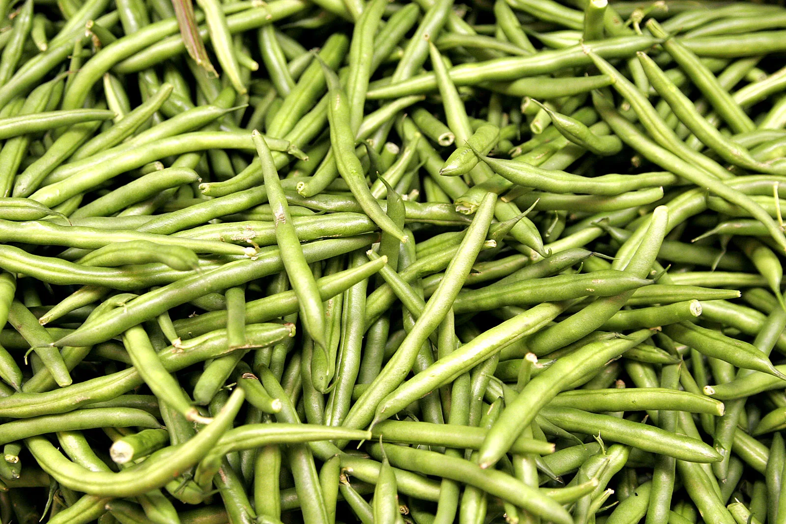 A heap of harvested green bean pods.