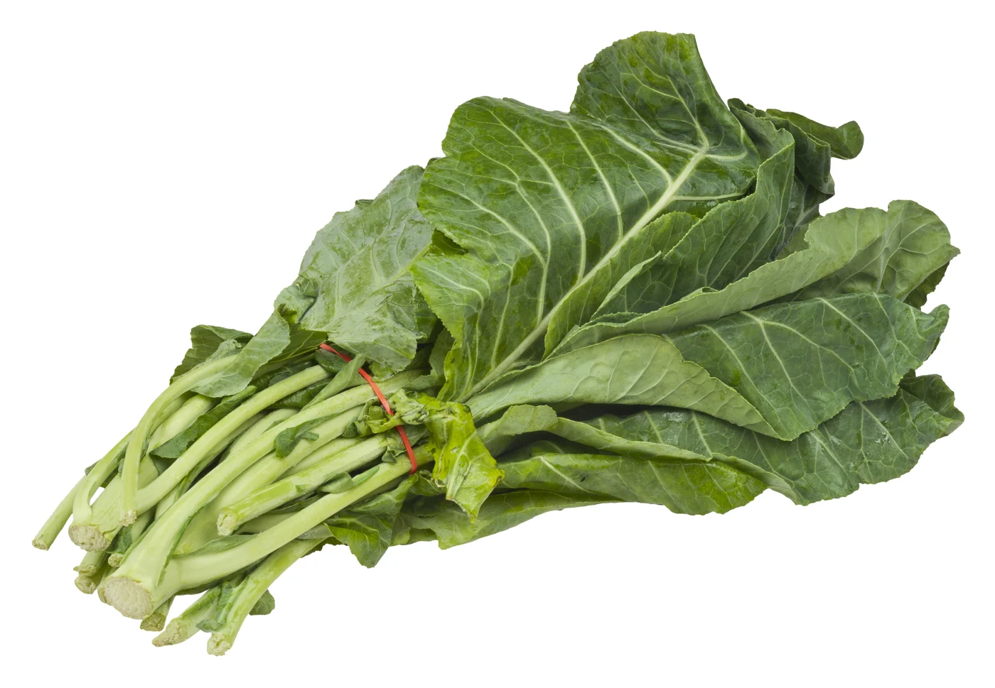 A harvested bundle of broad collard leaves with pale green stems.