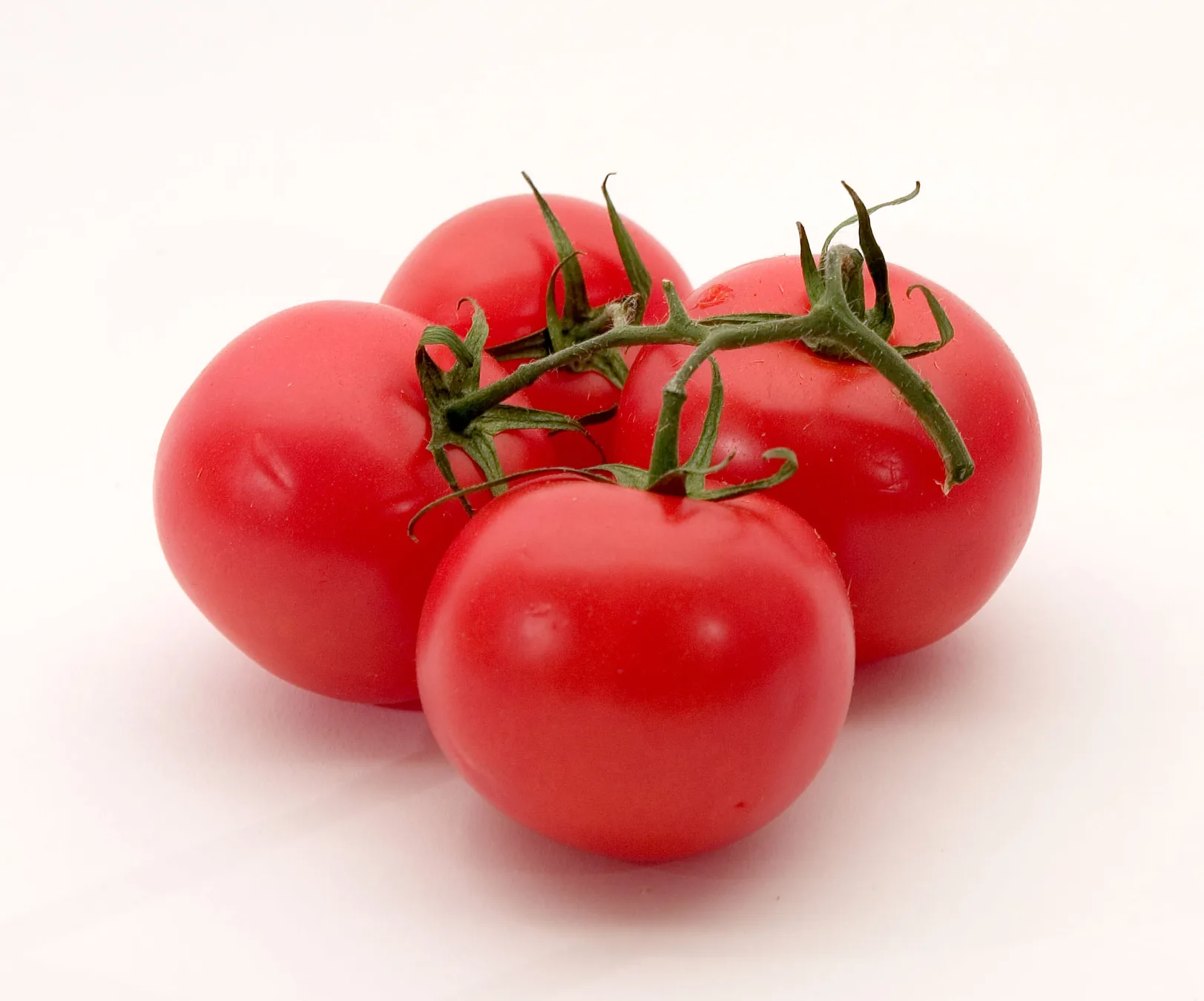 A cluster of ripe harvested tomatoes with green stems on a pale background.